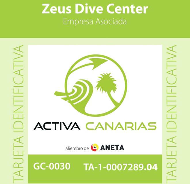Tenerife Scuba Diving for Certified Divers - Key Highlights You’ll Feel During the Day