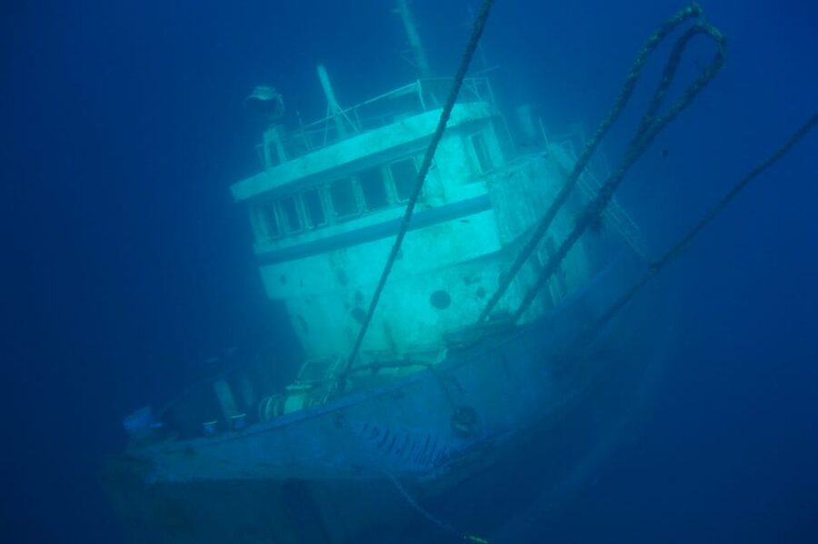 Tenerife Scuba Diving for Certified Divers - What You’ll Actually See: Wrecks, Reefs, Volcanic Rock, and a Real Shot at Turtles