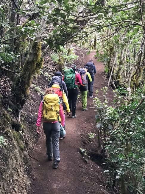 Tenerife: Senderismo Anaga, Bosque Mágico, Reserva Biosfera - What the 3-hour walking experience feels like