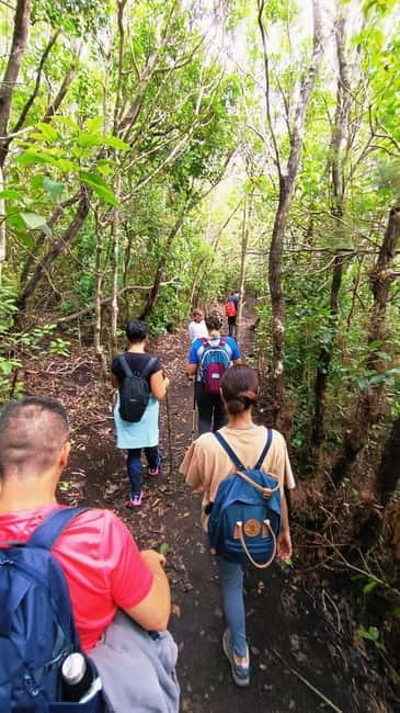 Tenerife: Senderismo Anaga, Bosque Mágico, Reserva Biosfera - Miradores and microclimate: why the stops change your perspective