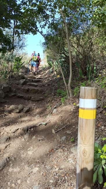 Tenerife: Senderismo Anaga, Bosque Mágico, Reserva Biosfera - The guide makes or breaks it (and here, that part is strong)