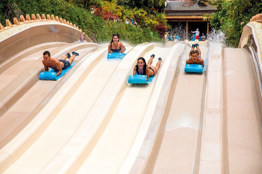 Tenerife: Siam Park Premium Full-Day Experience - Premium check-in: don’t wander, get set up early