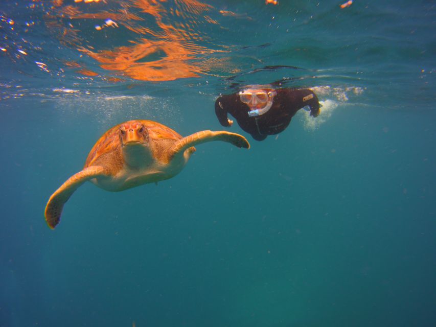 Tenerife: Snorkel with Turtles - The speedboat ride into Malpais de Rasca (what it’s really for)