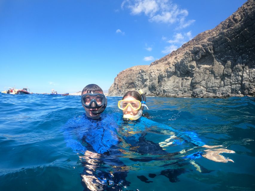 Tenerife Snorkeling boat trip in a Turtle Habitat - Price and value: is $42 reasonable for Tenerife snorkeling?