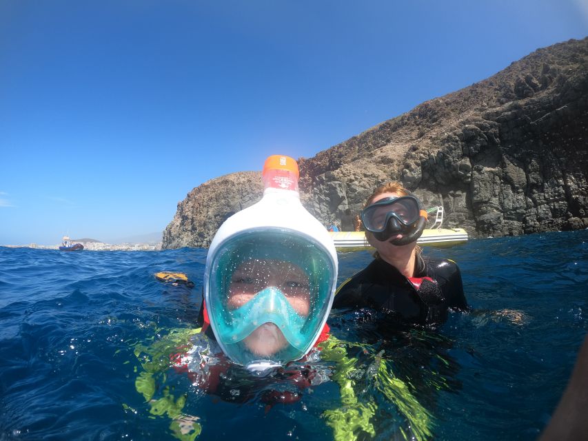 Tenerife Snorkeling boat trip in a Turtle Habitat - Entering the experience: where you meet and how the afternoon starts
