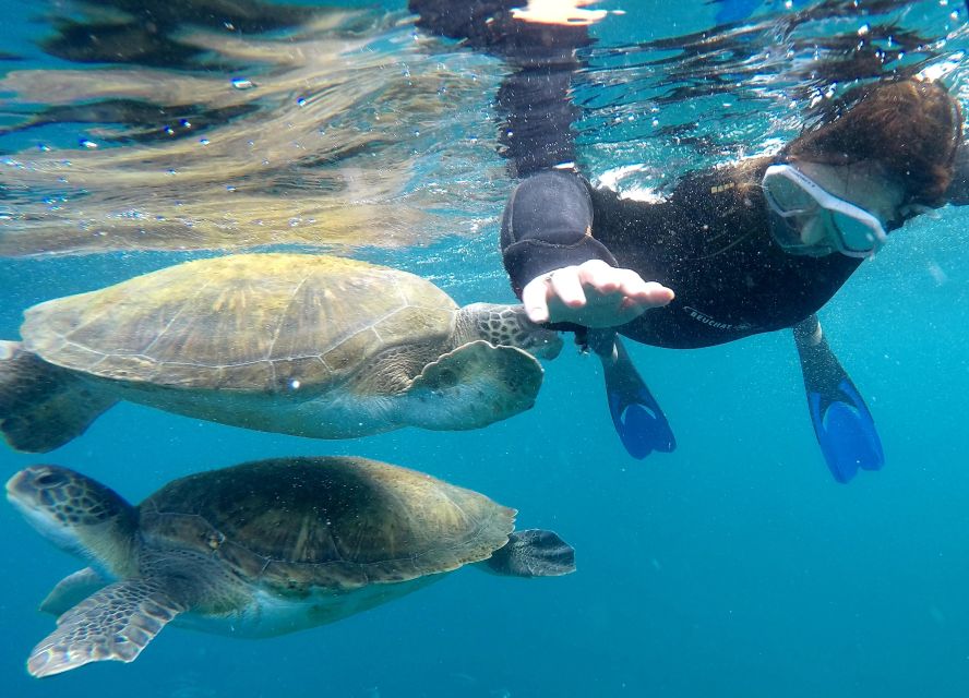 Tenerife Snorkeling boat trip in a Turtle Habitat - Zooming along Tenerife: the speedboat ride to your snorkeling spot