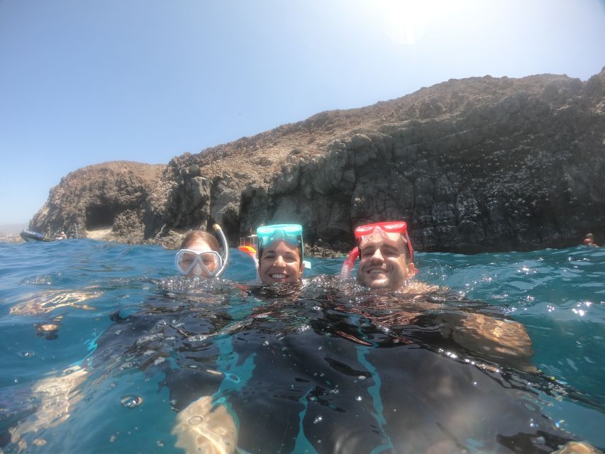 Tenerife Snorkeling boat trip in a Turtle Habitat - What you might see: turtles, rays, fish, and dolphin sightings