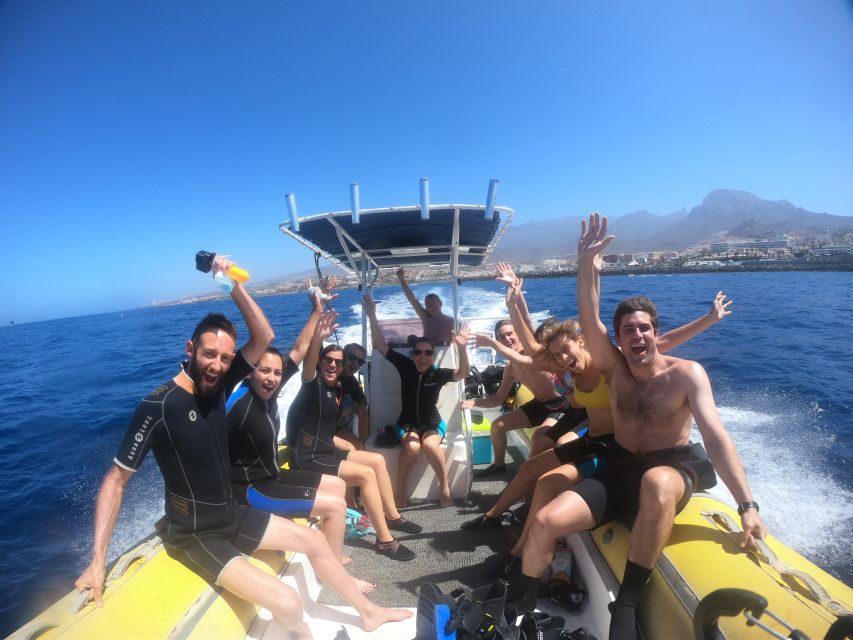 Tenerife Snorkeling boat trip in a Turtle Habitat - Boat-side fun and instructor help when you’re a beginner
