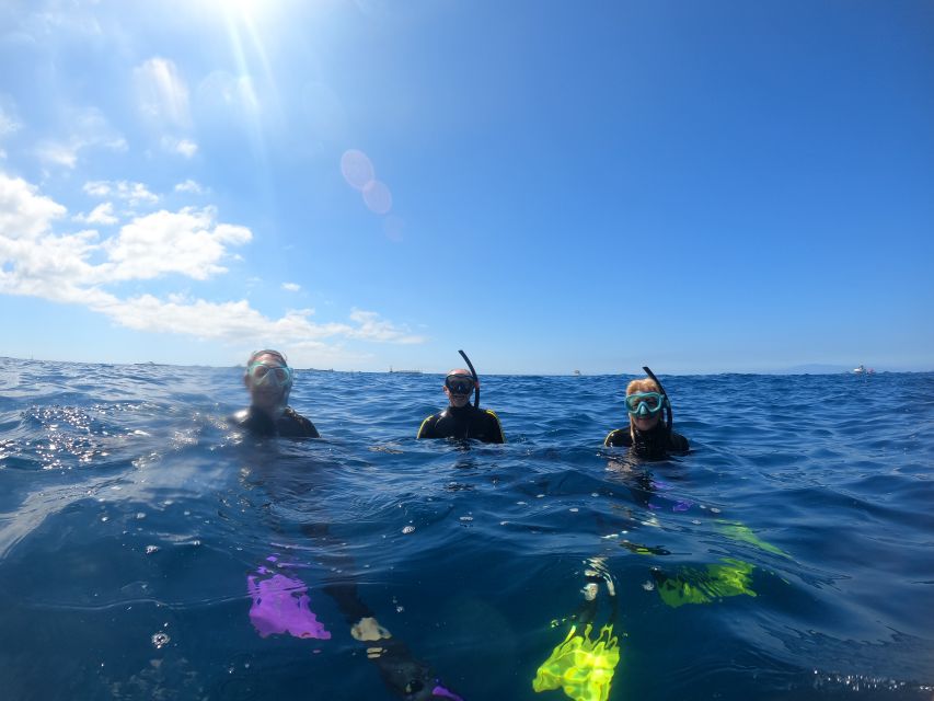 Tenerife Snorkeling boat trip in a Turtle Habitat - How the day flows: timing and pacing that feel manageable