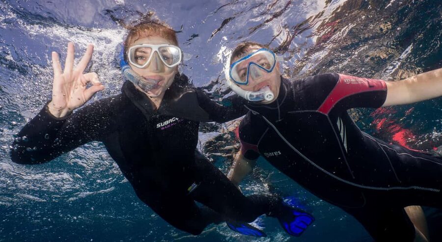 Tenerife: Snorkeling to look for Turtles and Rays - Gear Up Fast: Wetsuit Comfort and Simple Snorkel Equipment