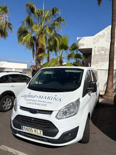 Tenerife: Snorkeling to look for Turtles and Rays - Turtles and Rays: What You Might See (and What Can Vary)