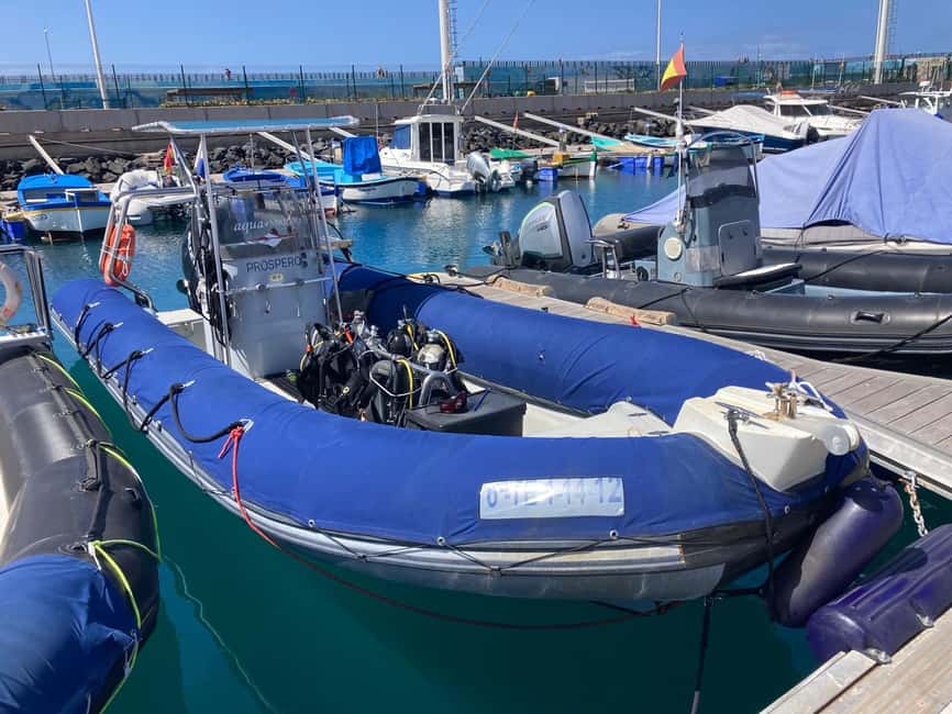 Tenerife: Snorkeling to look for Turtles and Rays - The 150 Minutes You Spend Getting There (and Why It Matters)