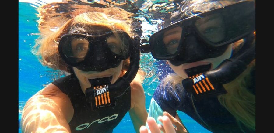 Tenerife: Snorkeling Tour in a Marine Protected Area - Gear That Makes Beginners Feel Capable (Not Clunky)