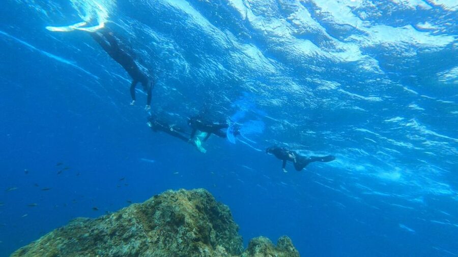Tenerife: Snorkeling Tour in a Marine Protected Area - Rafaella and Ron’s Approach: Calm, Clear, and Kept Real