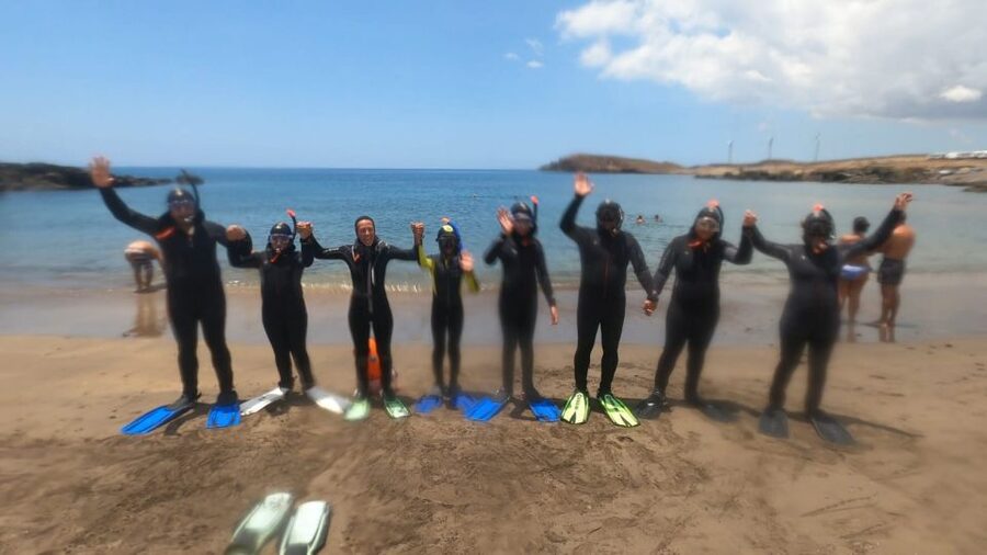 Tenerife: Snorkeling Tour in a Marine Protected Area - Price and Value: Why $45 Can Make Sense Here