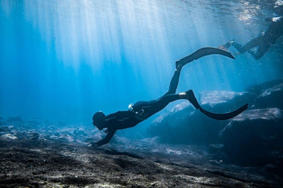 Tenerife : Snorkeling underwater with freediving Instructor - Key Things to Know Before You Go