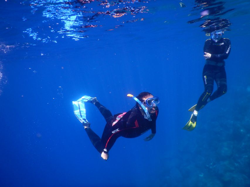 Tenerife : Snorkeling underwater with freediving Instructor - Quick Reality Check: Weather and Comfort