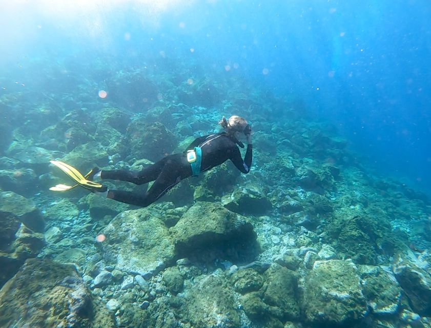 Tenerife : Snorkeling underwater with freediving Instructor - Who Should Book This (and Who Should Skip It)