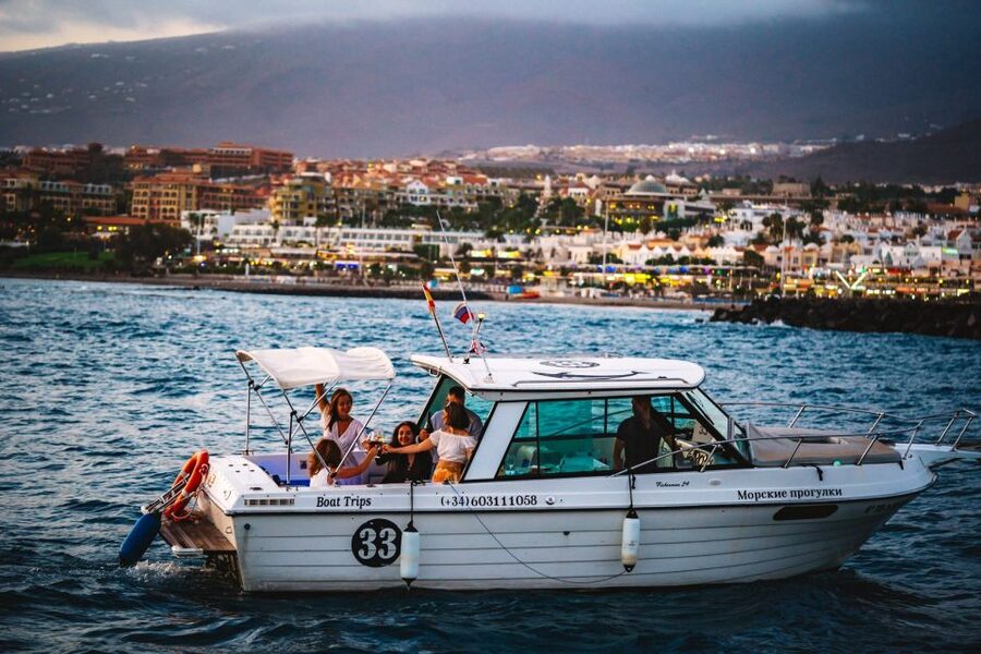 Tenerife: South Island Boat-Trip and Sea Excursion - Who this Tenerife boat trip suits best