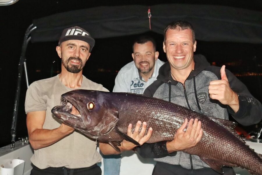 Tenerife: South Island Boat-Trip and Sea Excursion - Dolphin-spotting and sea-life watching without overthinking it