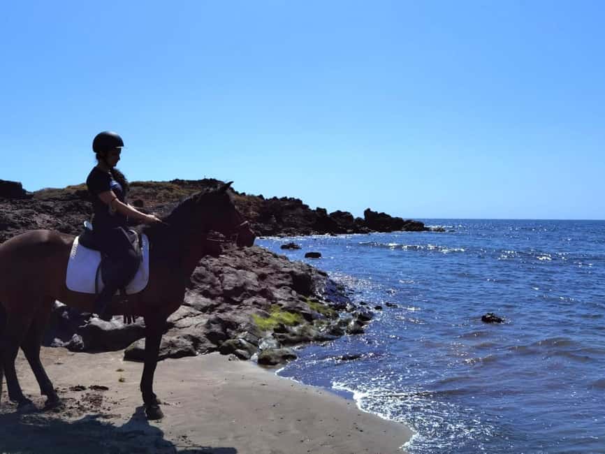 Tenerife South: Private Horseback Ride to the Coast - Key highlights worth planning around