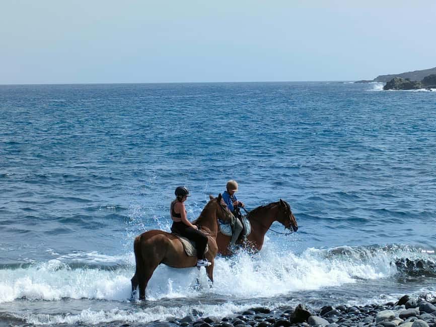 Tenerife South: Private Horseback Ride to the Coast - Horseback to Costa del Silencio’s black-sand shoreline