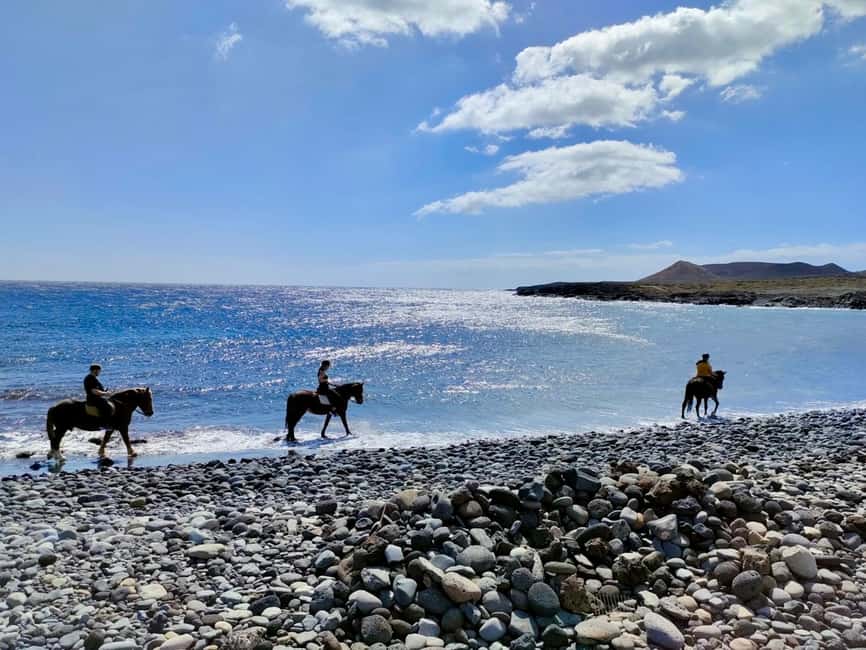 Tenerife South: Private Horseback Ride to the Coast - Private and timed: why it matters more than people think