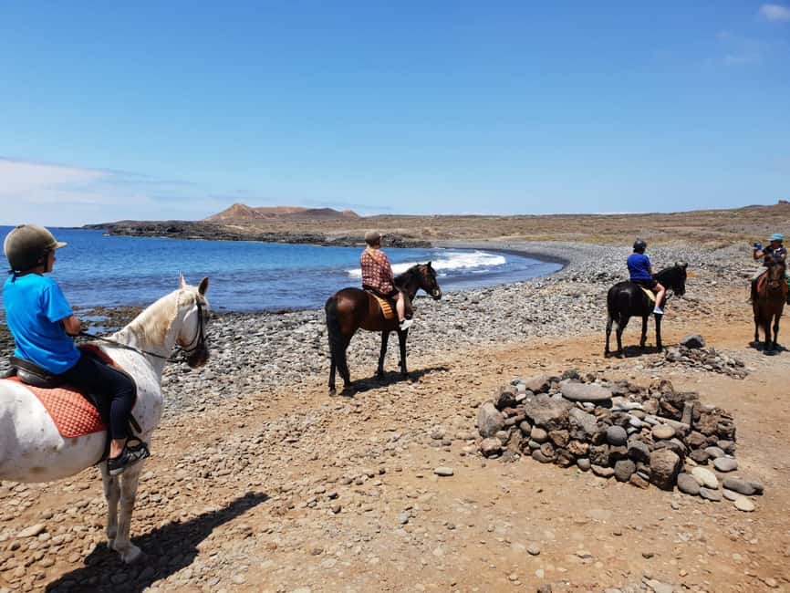 Tenerife South: Private Horseback Ride to the Coast - The 2-hour rhythm: ride out, coast photo stop, ride back