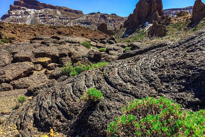 Tenerife South Private Tour: Secrets of the Volcanoes - Who should book this, and who might not love it