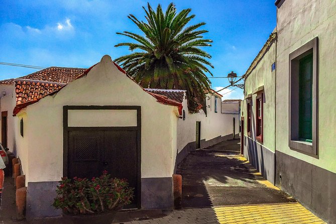Tenerife South Private Tour: Secrets of the Volcanoes - Stop 1: Arco de Tajao and the South’s geology story at Arico