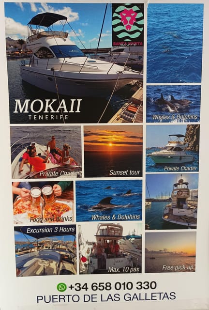Tenerife south: safari with luxury boat , animals encounters - Tenerife South From the Water: Why This 3-Hour Luxury Boat Safari Works