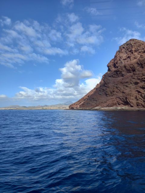 Tenerife south: safari with luxury boat , animals encounters - The Swim Stop in Exclusive Bays: Relaxed Water Time Without a Whole Day Commitment