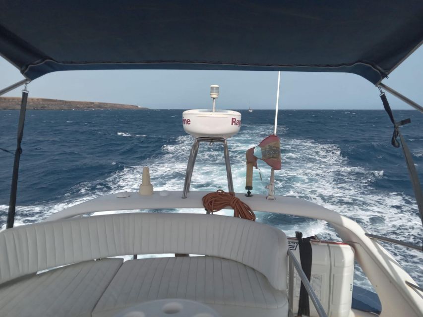 Tenerife south: safari with luxury boat , animals encounters - Snacks, Pizza, and Drinks at Sea: Simple, Included, and Actually Useful