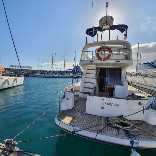 Tenerife south: safari with luxury boat , animals encounters - Getting to Las Galletas and Boarding Without Stress