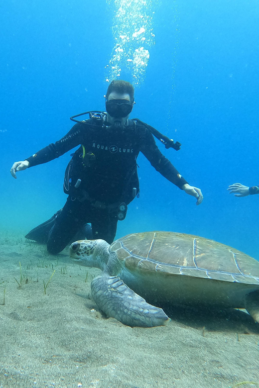 Tenerife south: Scuba Dive for beginners in Adeje - Key things to know before you go