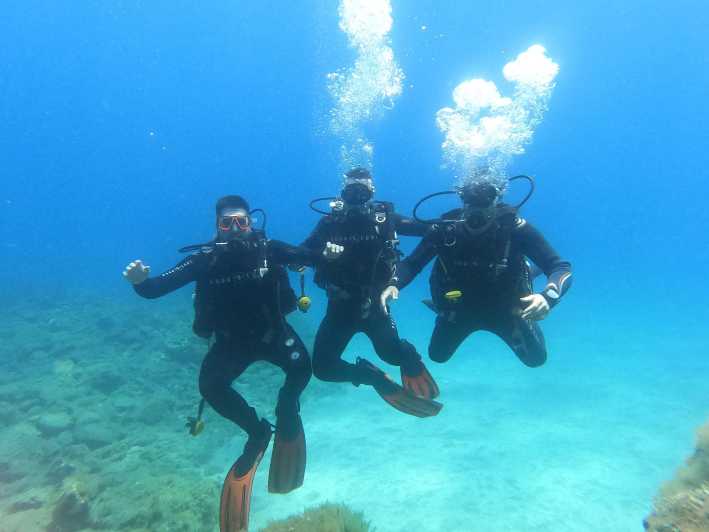 Tenerife south: Scuba Dive for beginners in Adeje - The 9:00 theory session that actually sets you up