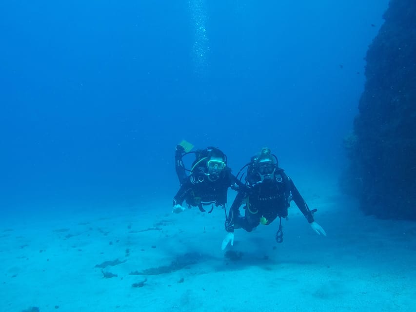 Tenerife south: Scuba Dive for beginners in Adeje - The underwater session: 45 minutes with tight instructor control
