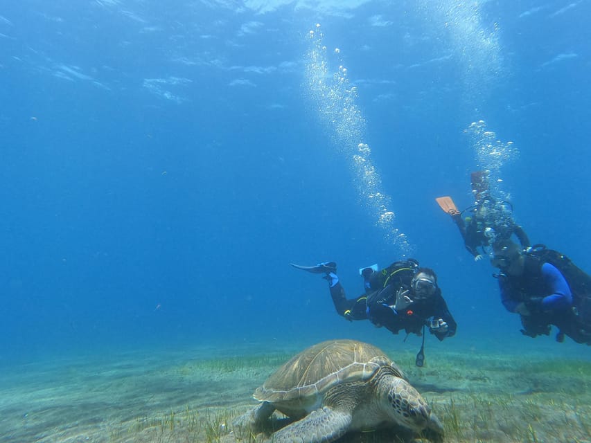 Tenerife south: Scuba Dive for beginners in Adeje - Snacks, water, and the smooth return to shore