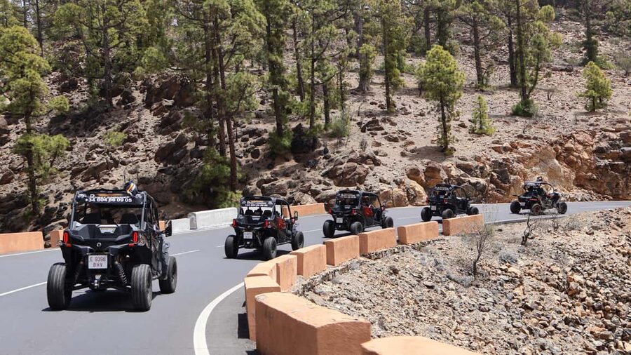 Tenerife: Sunset - 3H Buggy tour of Teide - Teide National Park: Volcanic Terrain, Endemic Plants, and Real Stories