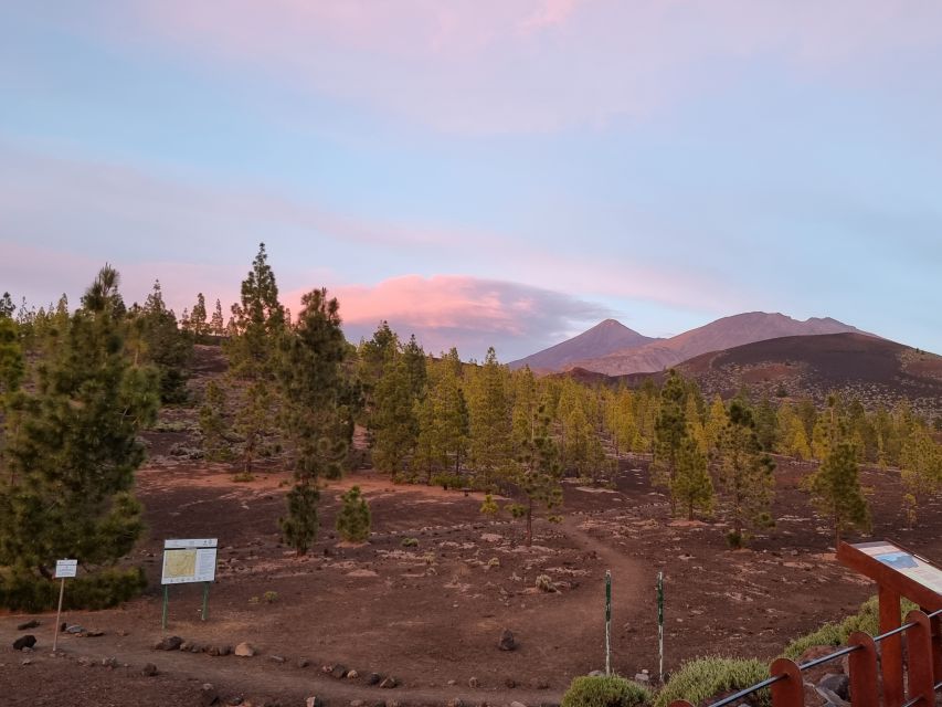 Tenerife: Sunset and Stargazing at Teide National Park - Weather Rules: When They Stay Put Instead of Going Higher