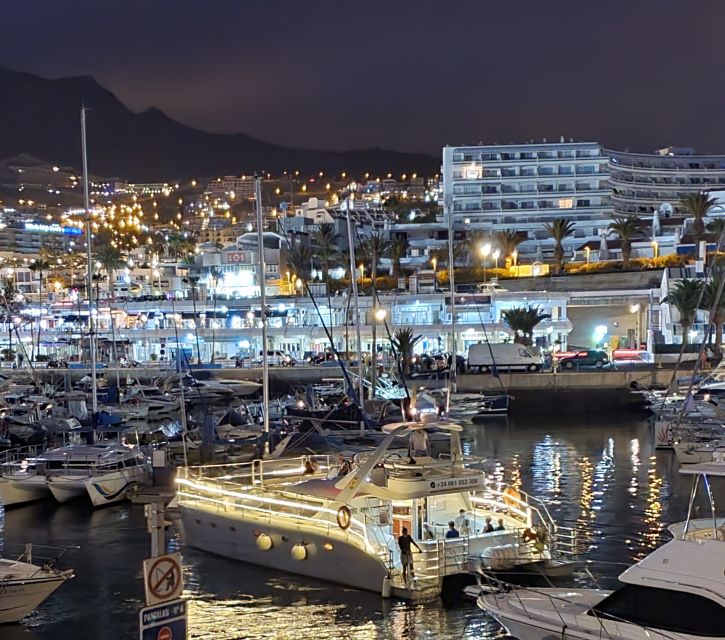Tenerife: Sunset Catamaran Tour with Transfer, Buff & Drinks - The sunset phase: slow return, flickering coast lights, and that bay stop