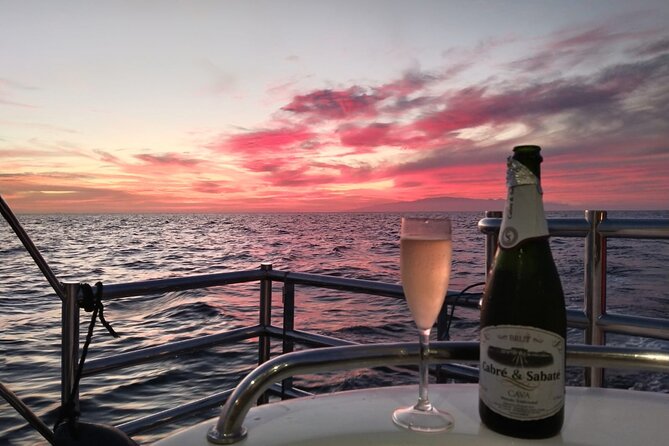 Tenerife Sunset Catamaran tour with transfer - Food and Drinks included. - Out on the Water: Whales, Dolphins, Turtles, and Flying Fish