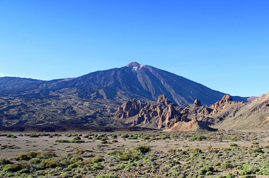 Tenerife: Teide and Las Cañadas Half-Day Tour - Teide pine forests: why this cooler stretch matters