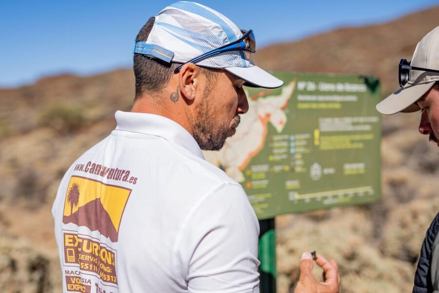 Tenerife : Teide Hiking - The 2-hour hike from 2,200 m: volcanic views meet endemic plant life