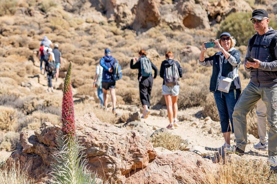 Tenerife : Teide Hiking - What to pack for Teide altitude (and why it’s not optional)