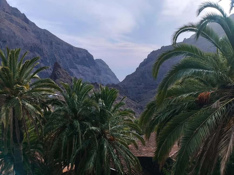 Tenerife: Teide, Masca, Garachico, and Sunset Exclusive Tour - Teide: volcano evolution and the lunar feeling you came for