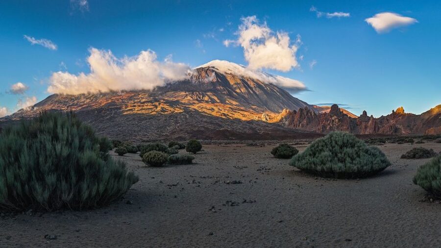 Tenerife: Teide National Park and Dolphins Sailboat Tour - Key things to know before you go