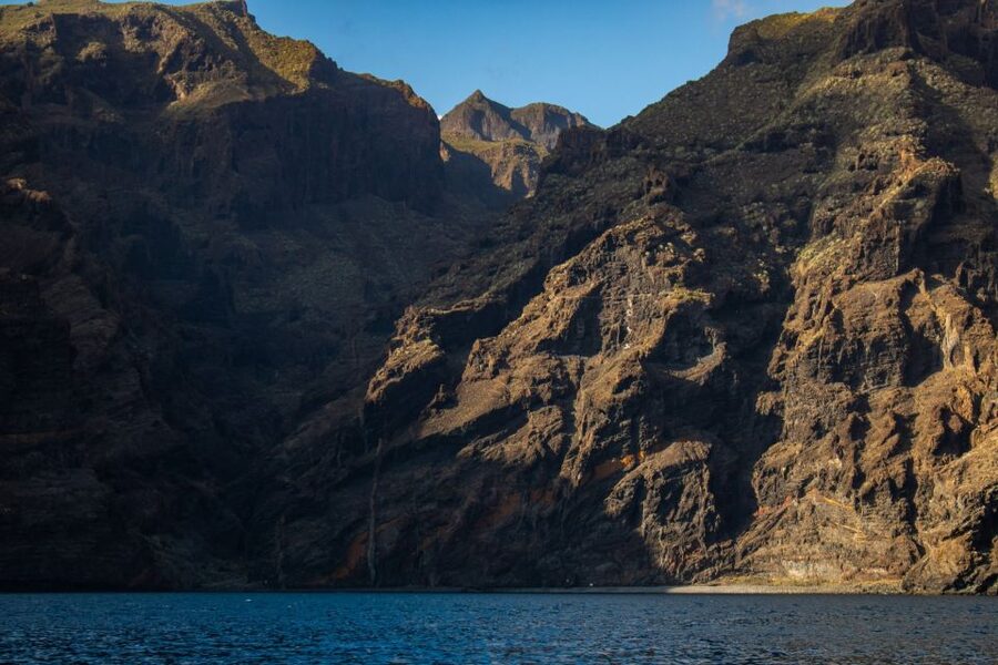 Tenerife: Teide National Park and Dolphins Sailboat Tour - A 7-hour Tenerife combo: Teide by day, dolphins at sea