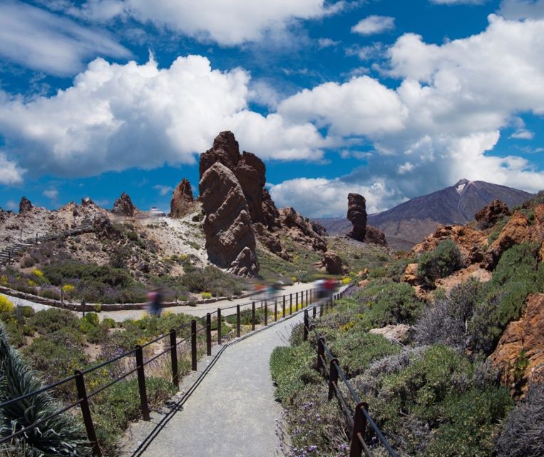 Tenerife: Teide National Park and Dolphins Sailboat Tour - Price and value: why $218 can make sense here