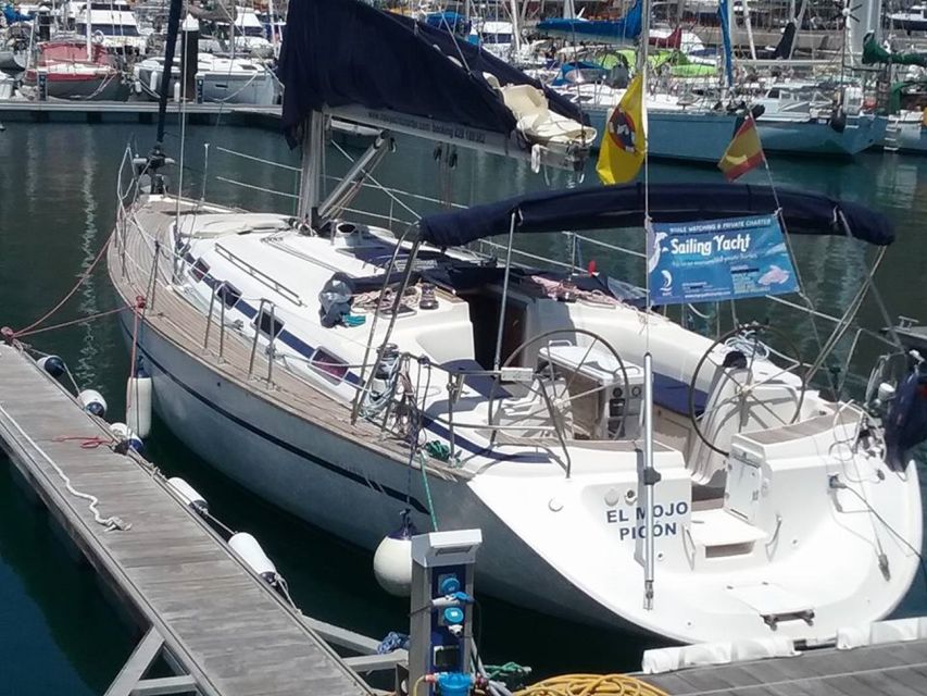 Tenerife: Teide National Park and Dolphins Sailboat Tour - Who should book this Tenerife day trip (and who shouldn’t)